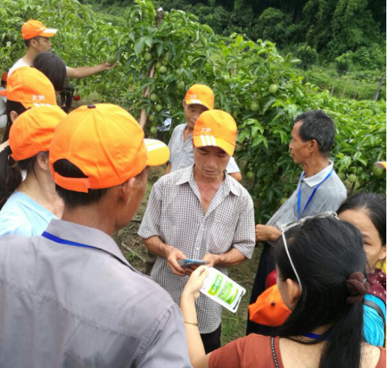 1513319313183851SR6z.png blob.png