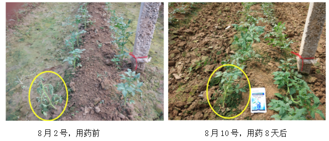 1513324326173177W8Kt.png blob.png