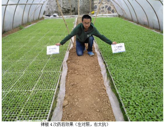 15133317166384986M2N.png blob.png