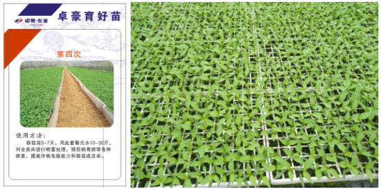 1515668192579763eAQG.png blob.png