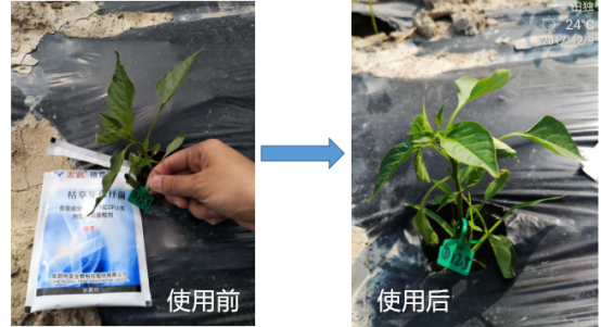 1515669640712647cD9k.png blob.png