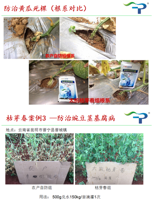 1522287058924465Gvte.png 2.png