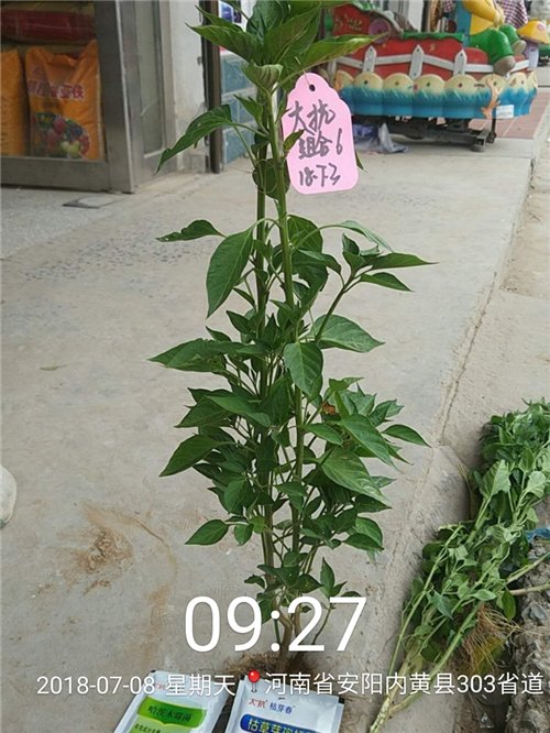 1535339408334777K5CV.png 圖片4.png