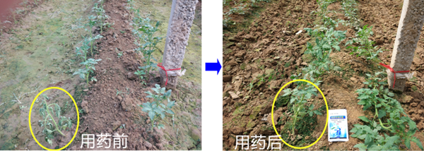 1536286974843769erGM.png 圖片9.png