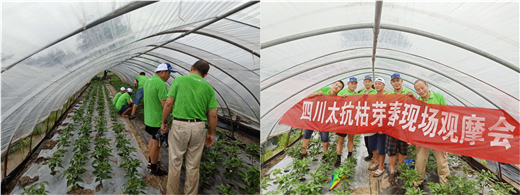 1536628633380521PGAK.png 圖片7.png