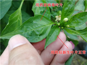 1539072995474554ELPM.png 圖片2.png