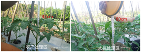 15391631938408604CEt.png 圖片5.png