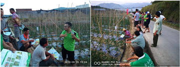 1539163373441015cjWX.png 圖片10.png