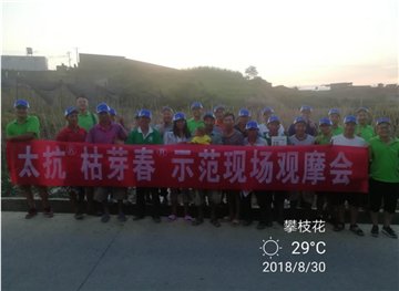 1539163393201528TQL1.png 圖片11.png