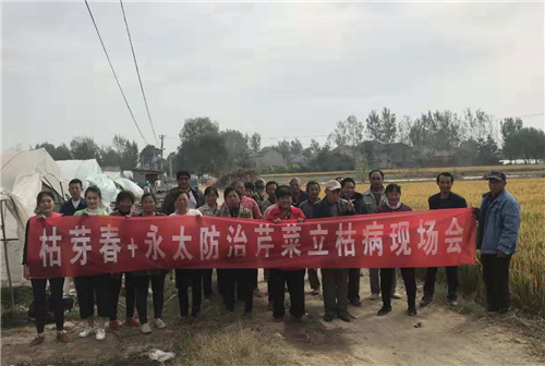 1540802351454184kMv8.png 圖片7.png