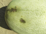 1544755447942503eedi.png 圖片3.png