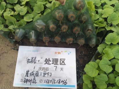 1544755486133527YCap.png 圖片4.png