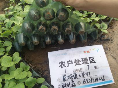 1544755495356696KyiZ.png 圖片5.png