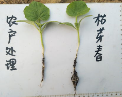 1544755502657158cXNu.png 圖片6.png