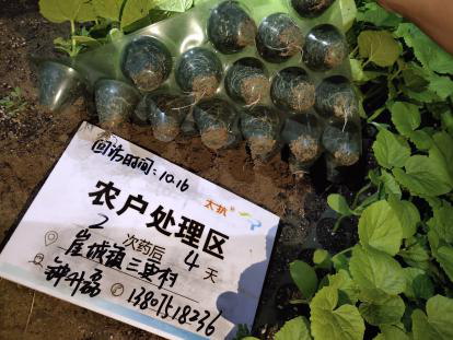 15447555298105697hqc.png 圖片8.png