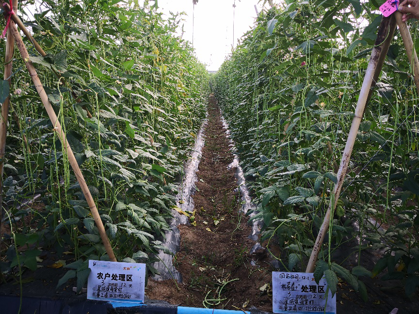 1545295383895855YDup.png 圖片6.png