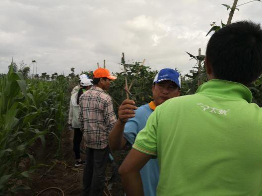 1545295418354904HQix.png 圖片7.png