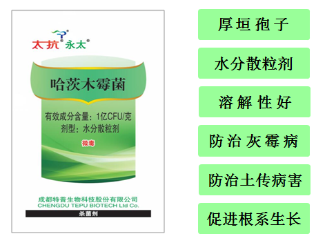 1555054119818150HSyQ.png 圖片1.png