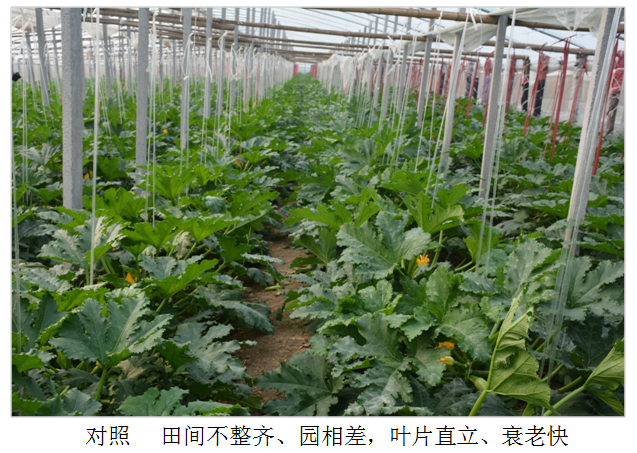 1555914163112965VzU9.png 圖片5.png