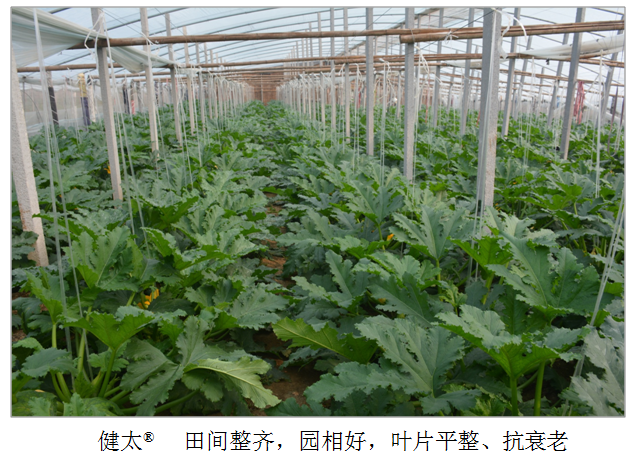 1555914187532593Ksmv.png 圖片6.png