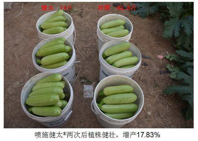 1555914503563344W4Hr.png 圖片8.png