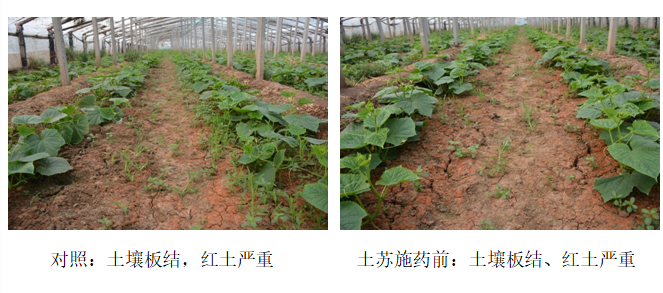 1555990788535059Xxv2.png 圖片7.png