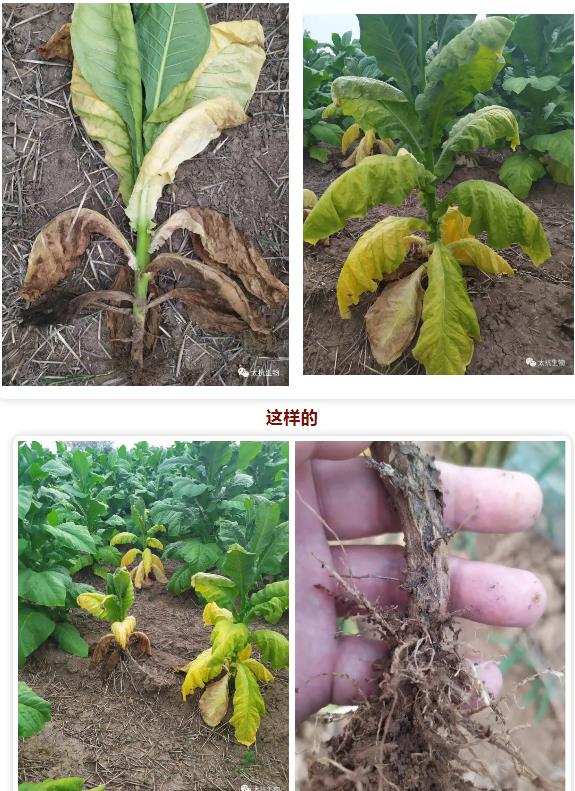 1634826269788003lQXe.jpg 微信截圖_20211021221242.jpg