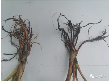 1638333854230589JQzk.png 2.png