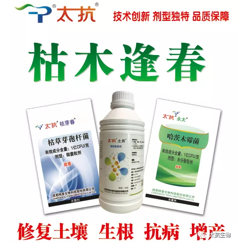 1638348762631046opOG.png 微信截圖_20211201170036.png